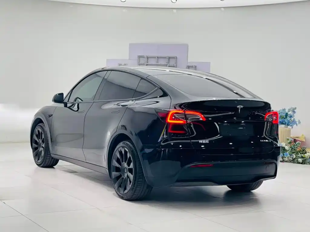 Tesla Model Y — фото 8