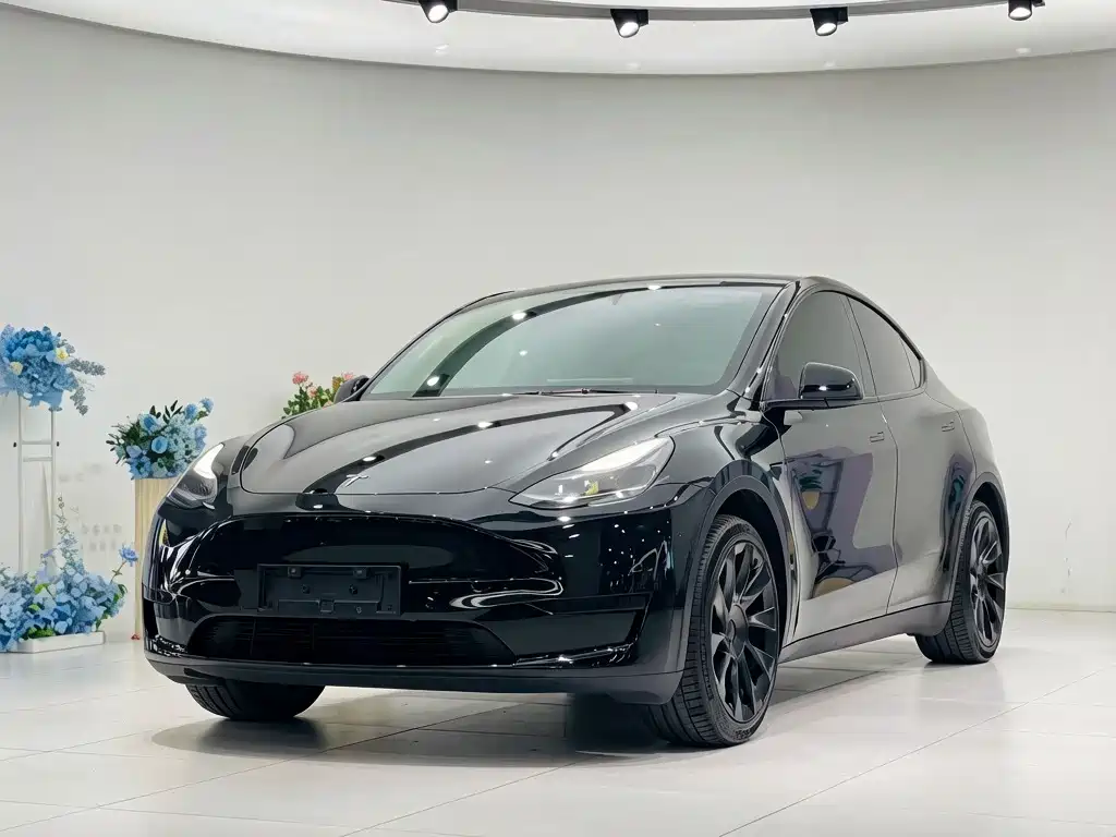 Tesla Model Y — фото 9