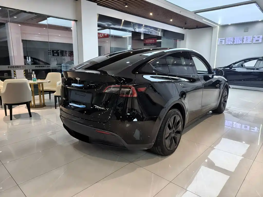 Tesla Model Y — фото 5