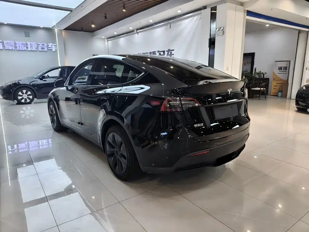 Tesla Model Y — фото 6