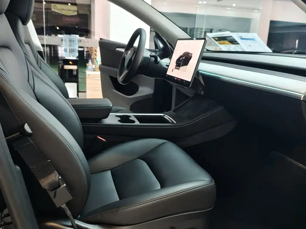Tesla Model Y — фото 9