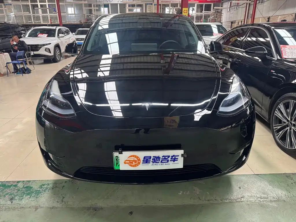 Tesla Model Y — фото 2