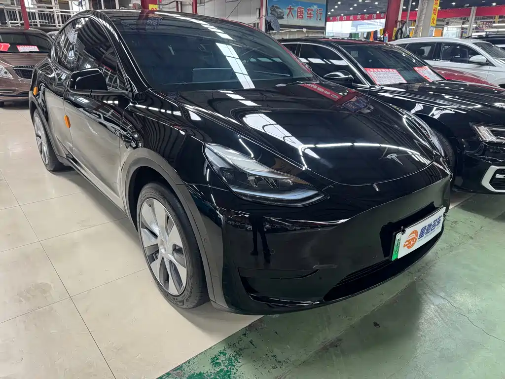 Tesla Model Y — фото 3