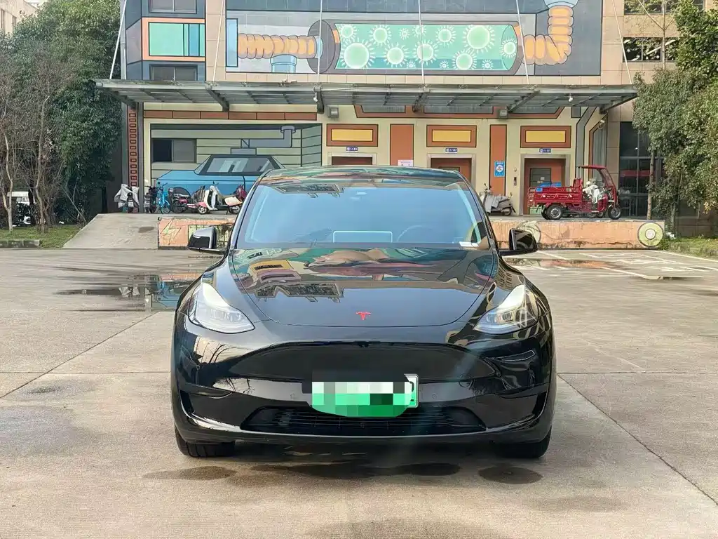Tesla Model Y — фото 2
