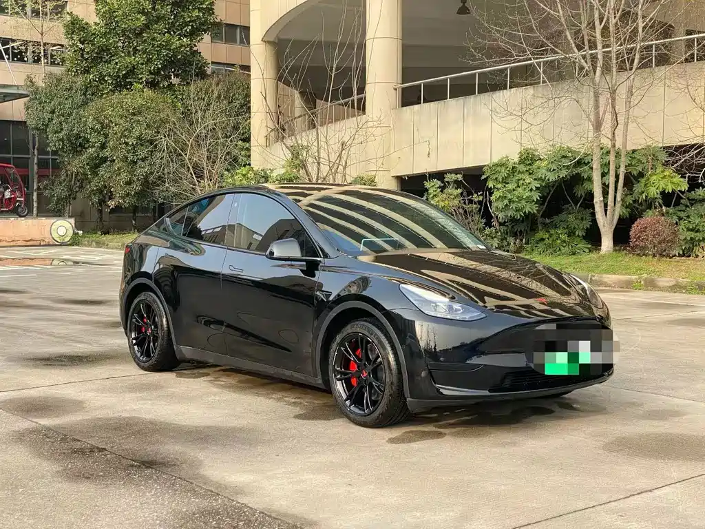 Tesla Model Y — фото 3