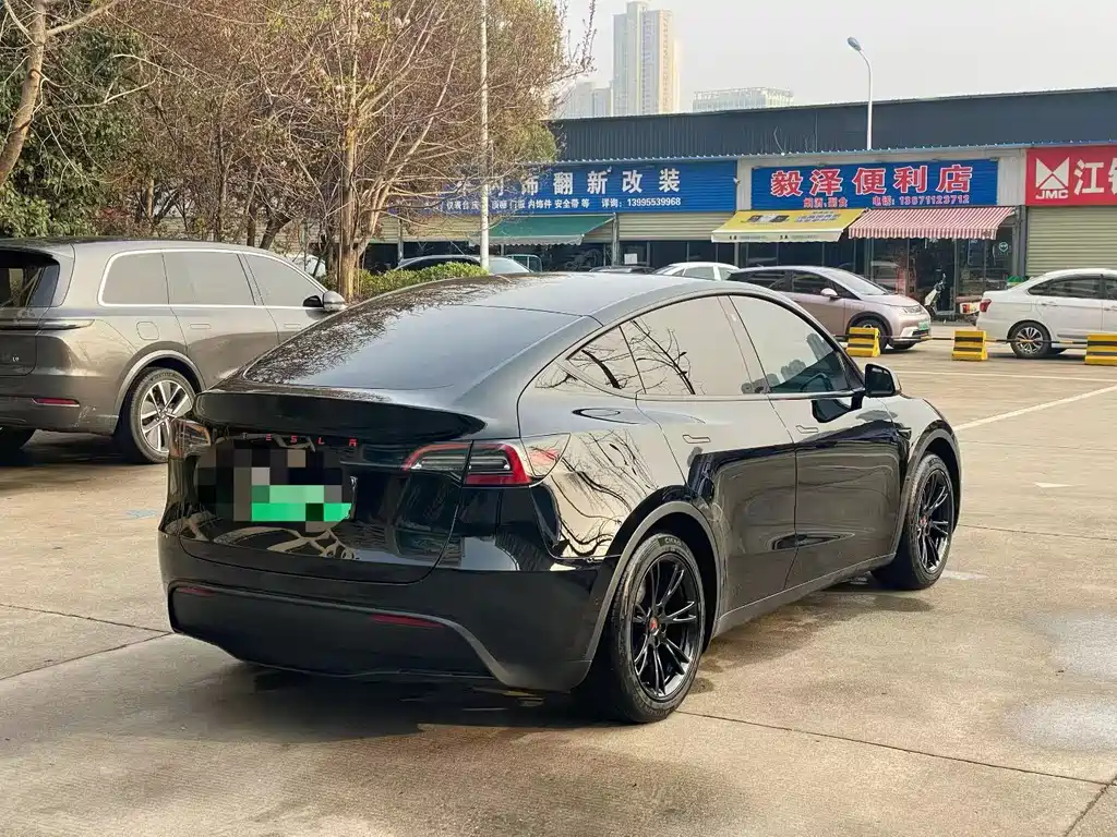 Tesla Model Y — фото 9