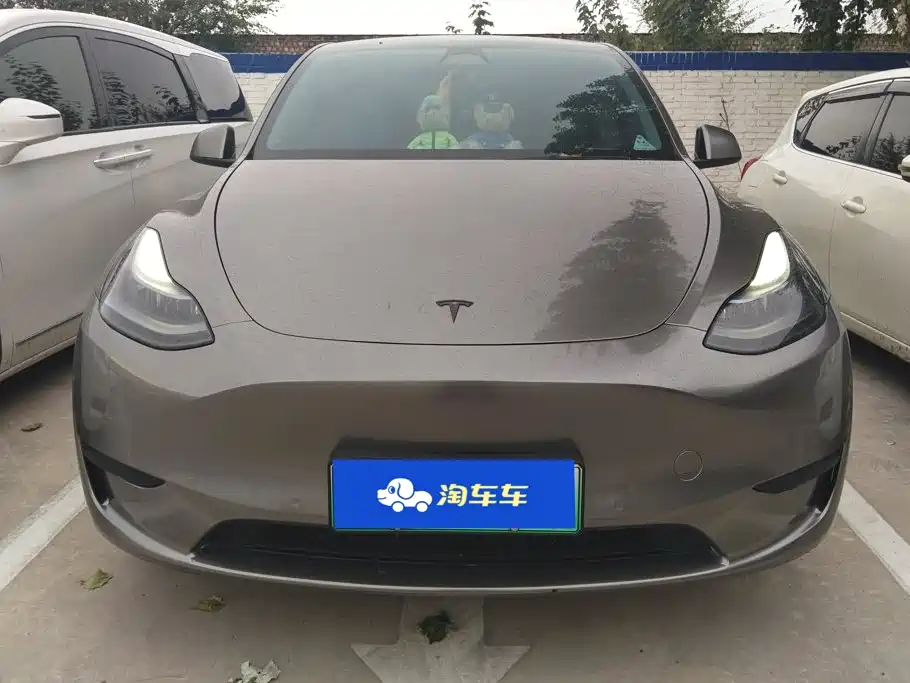 Tesla Model Y — фото 2