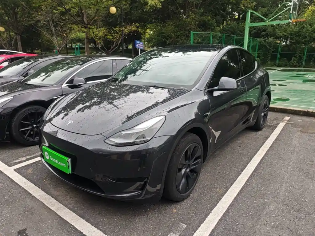 Tesla Model Y — фото 2