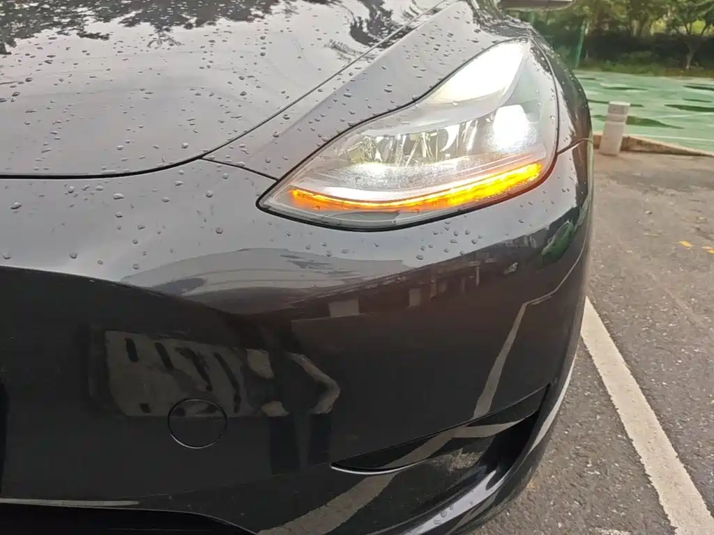 Tesla Model Y — фото 24