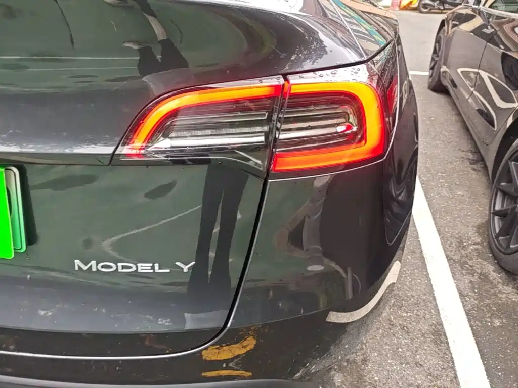Tesla Model Y — фото 8