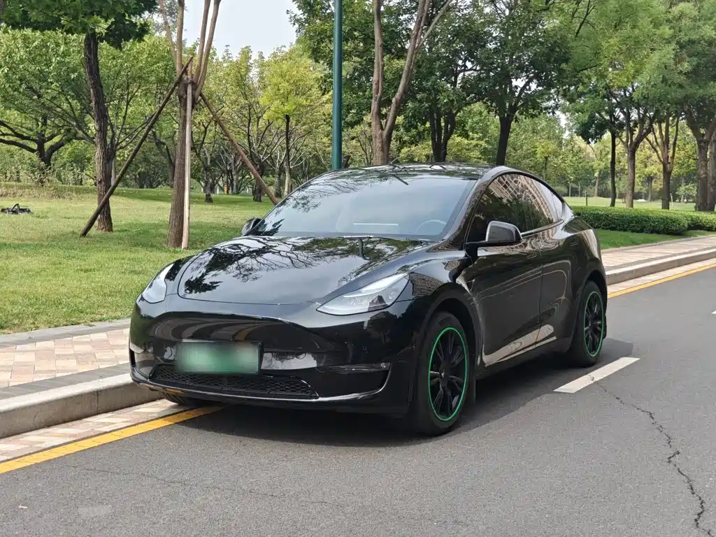 Tesla Model Y — фото 2