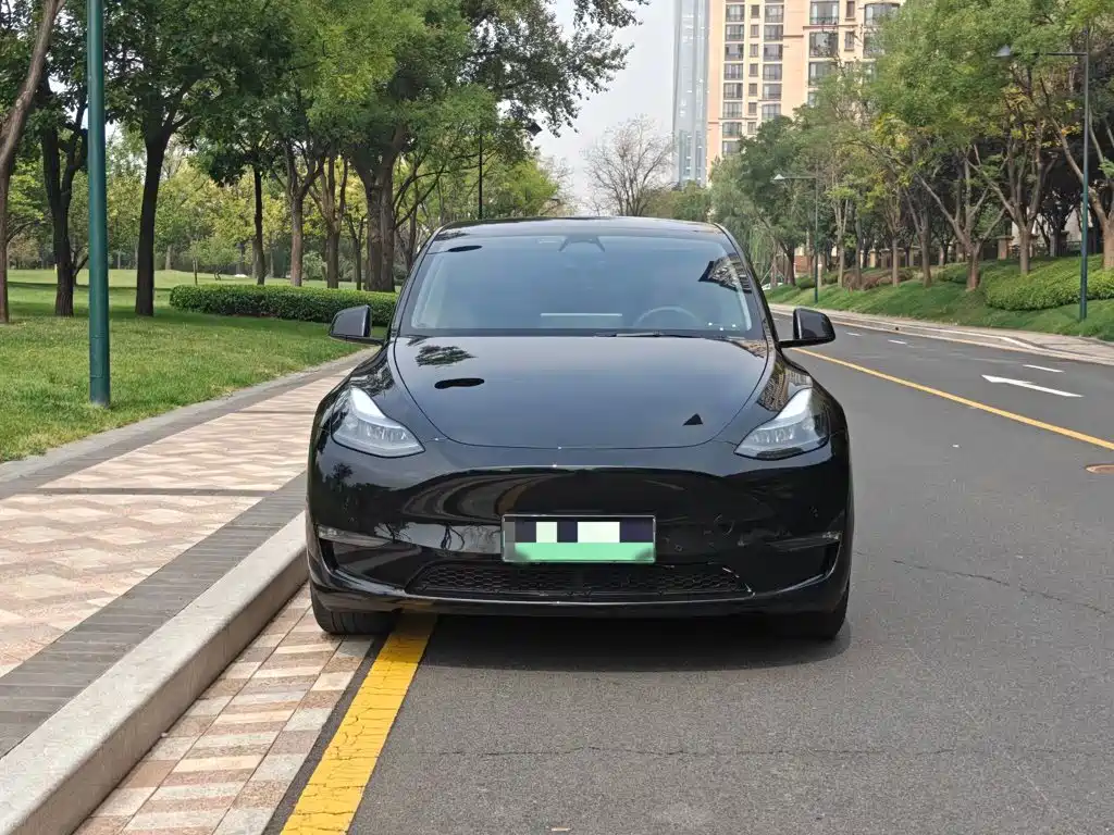 Tesla Model Y — фото 3