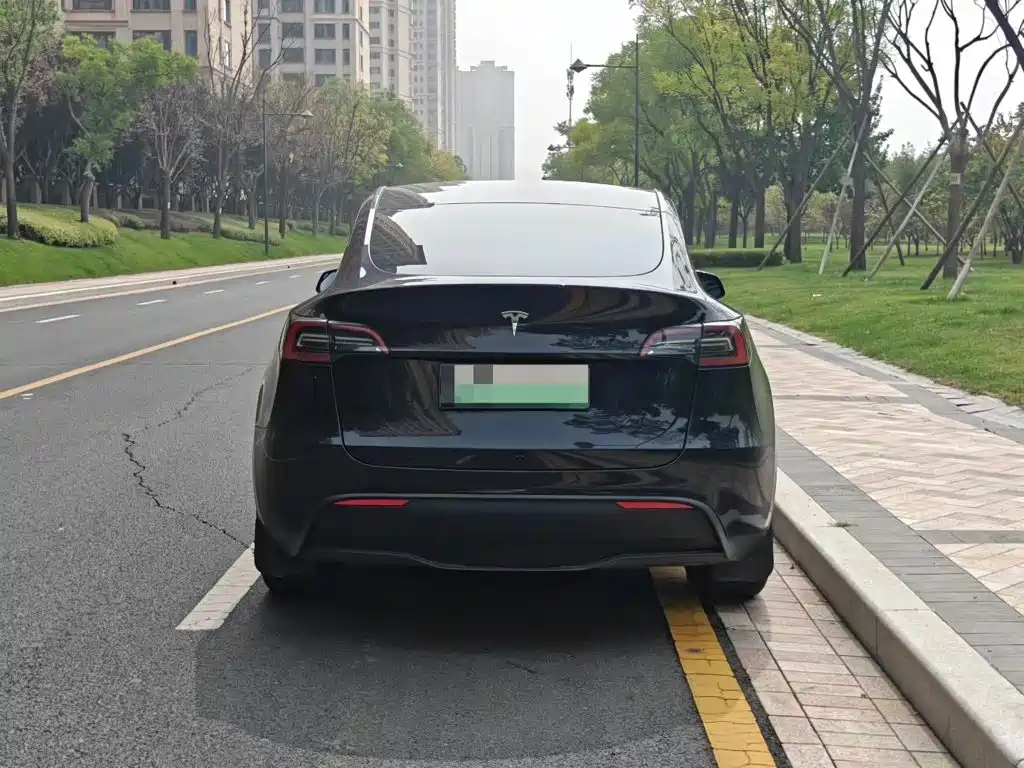 Tesla Model Y — фото 6