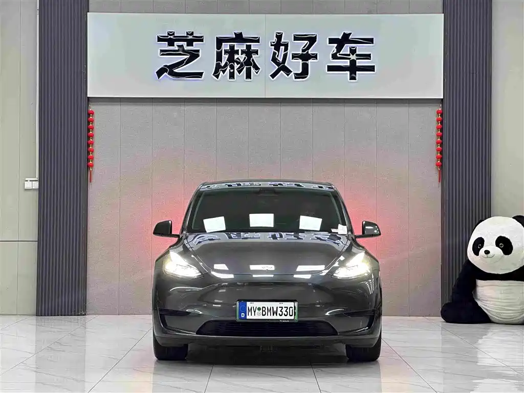 Tesla Model Y — фото 2