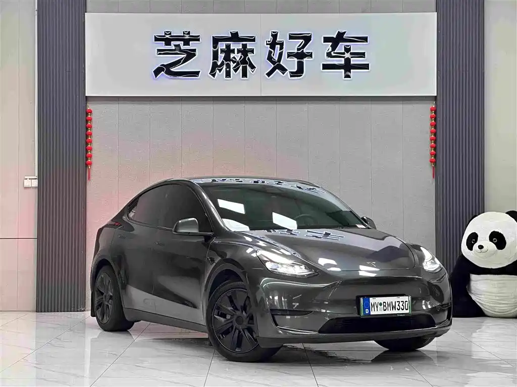 Tesla Model Y — фото 3