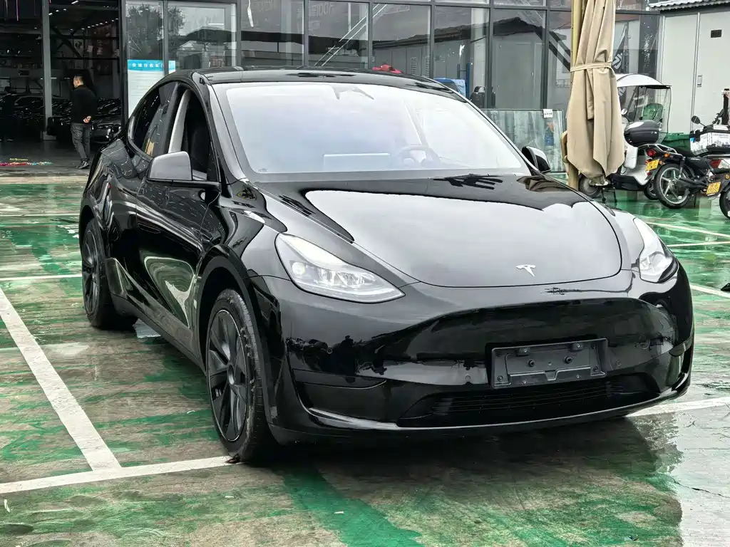 Tesla Model Y — фото 2