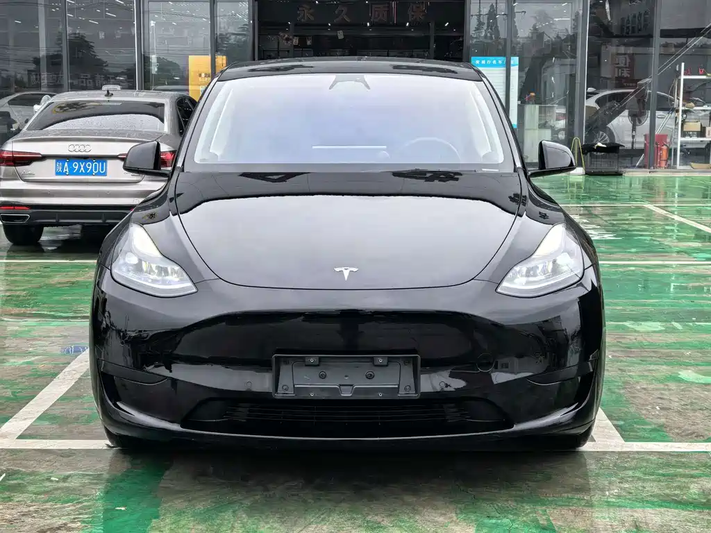 Tesla Model Y — фото 3