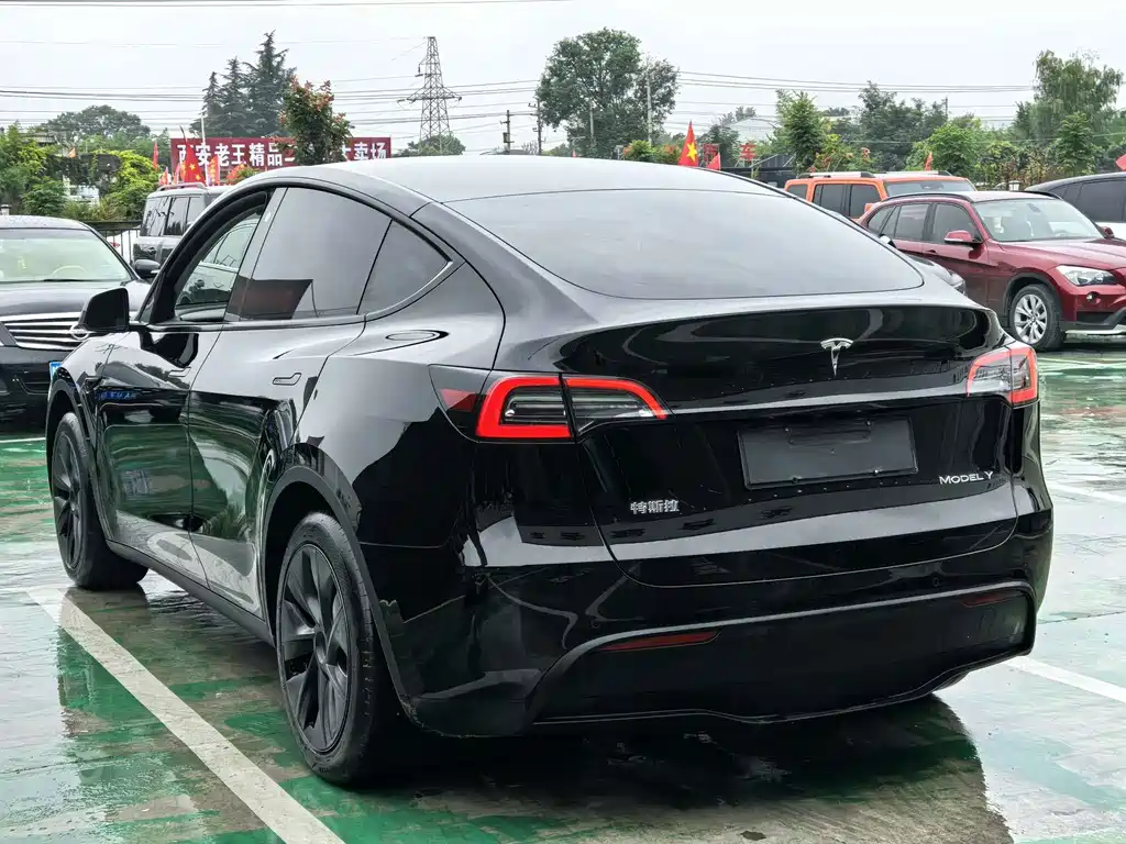 Tesla Model Y — фото 23