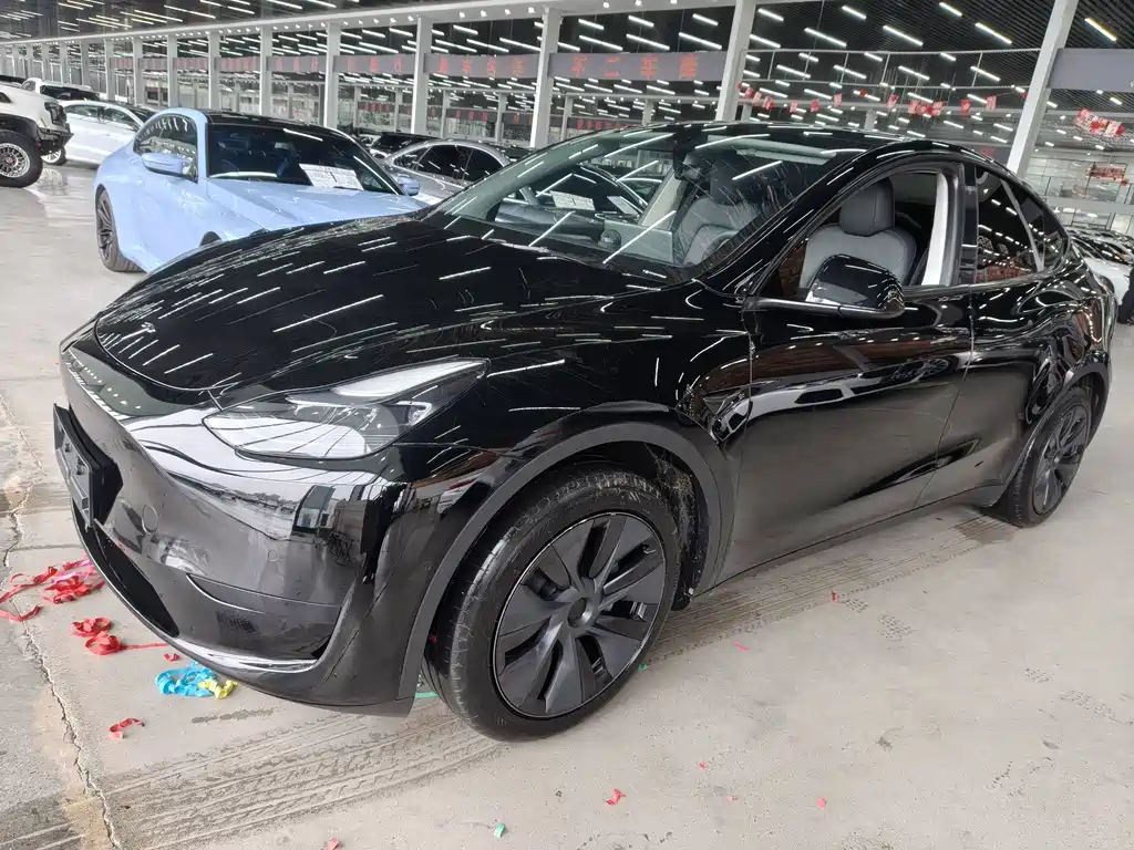 Tesla Model Y — фото 7