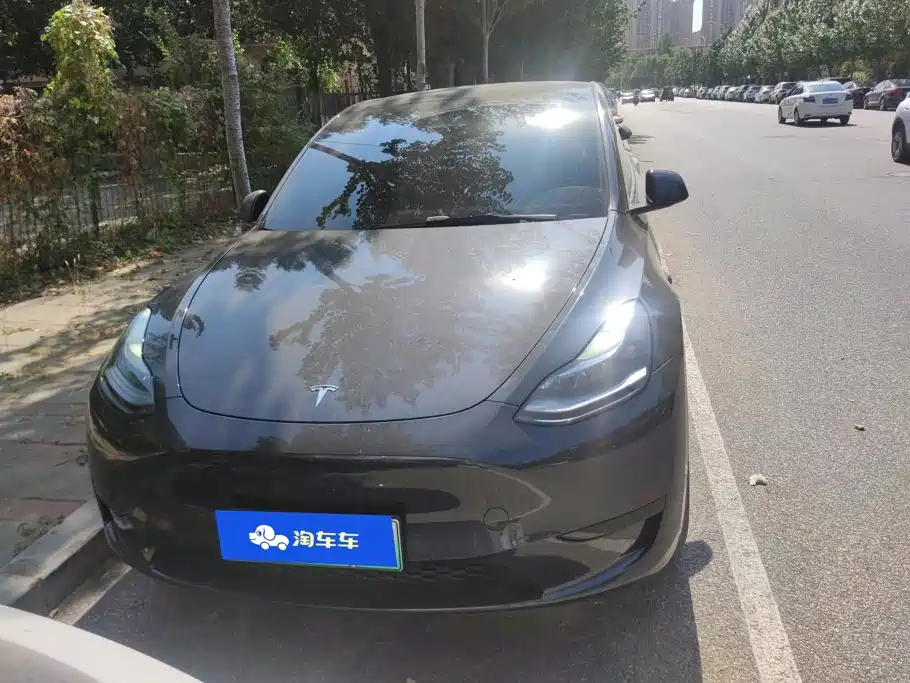 Tesla Model Y — фото 2
