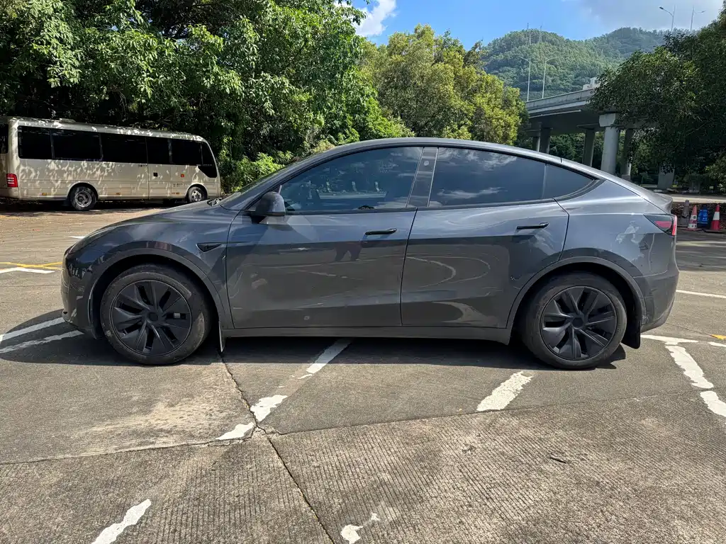 Tesla Model Y — фото 3