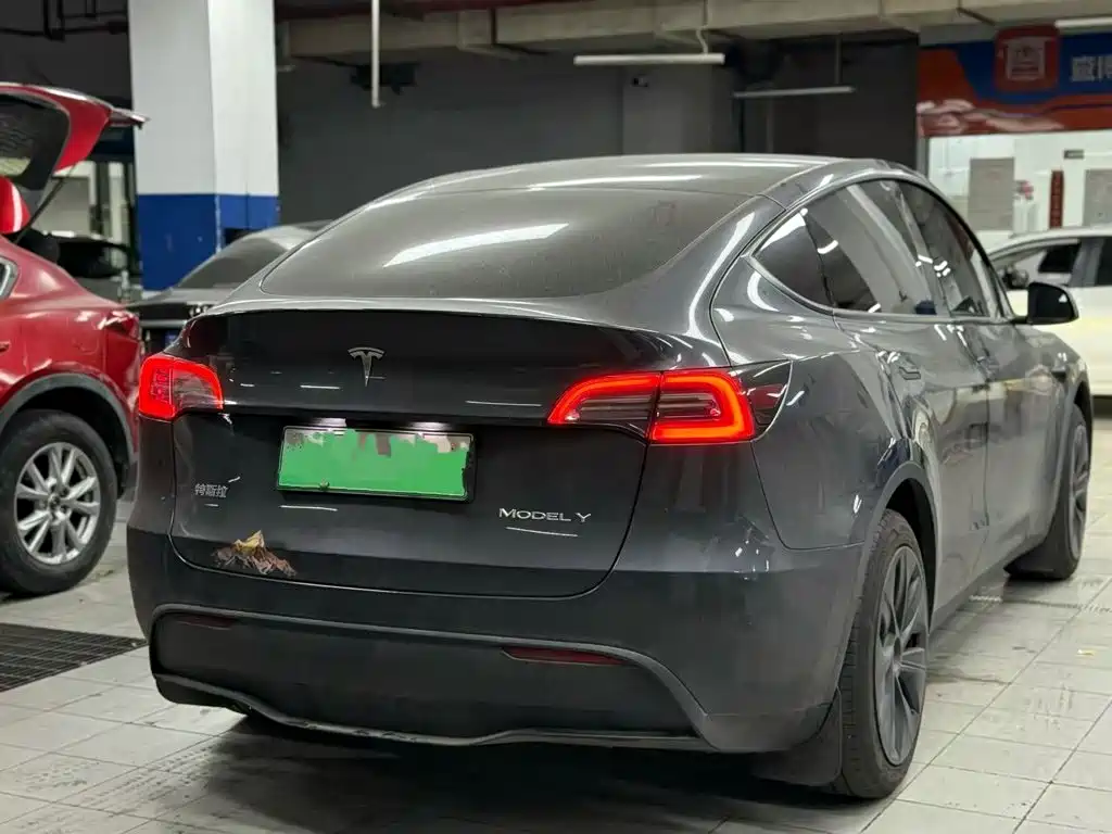 Tesla Model Y — фото 2