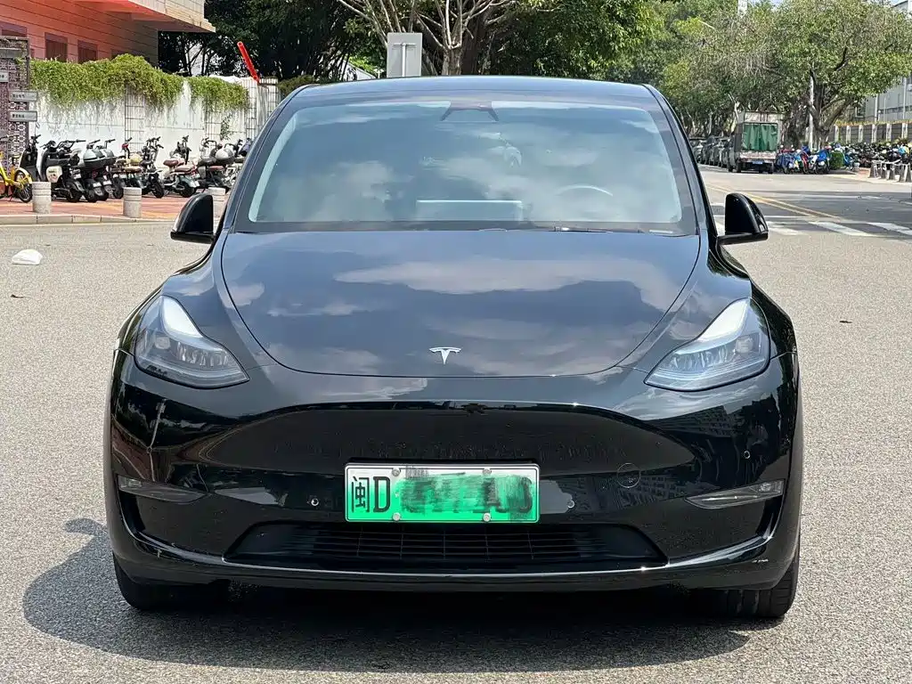 Tesla Model Y — фото 2