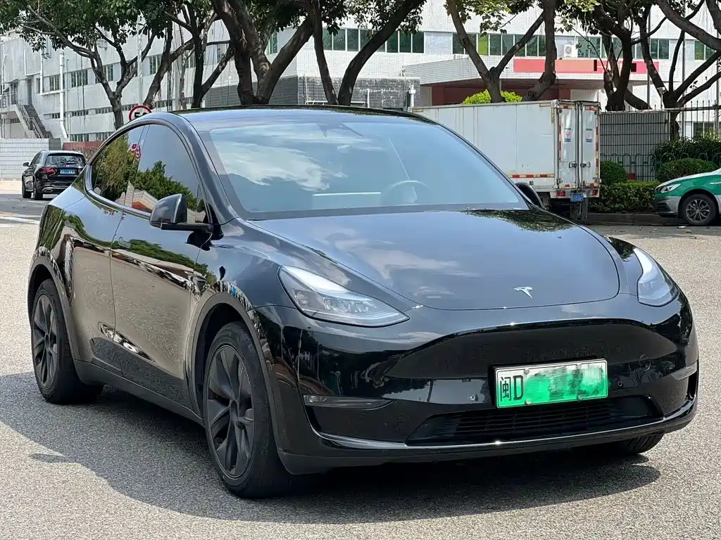 Tesla Model Y — фото 3