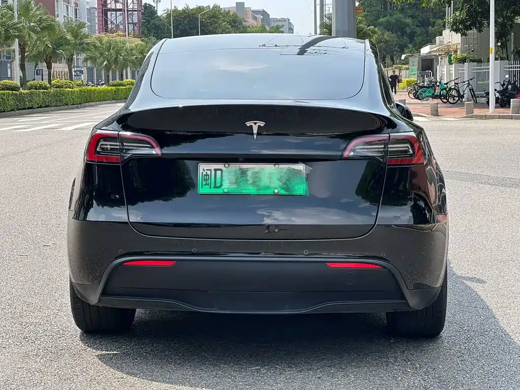 Tesla Model Y — фото 6