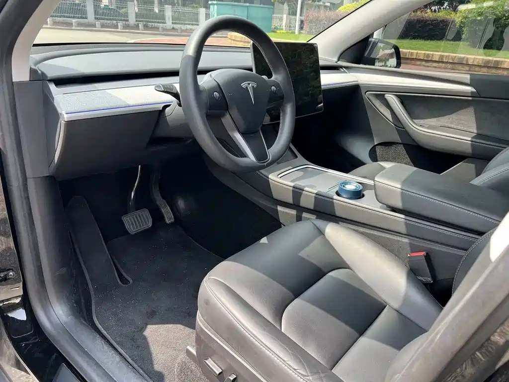 Tesla Model Y — фото 8