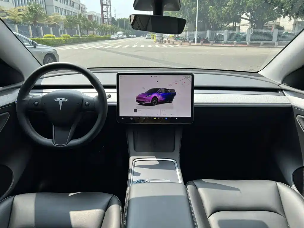 Tesla Model Y — фото 10
