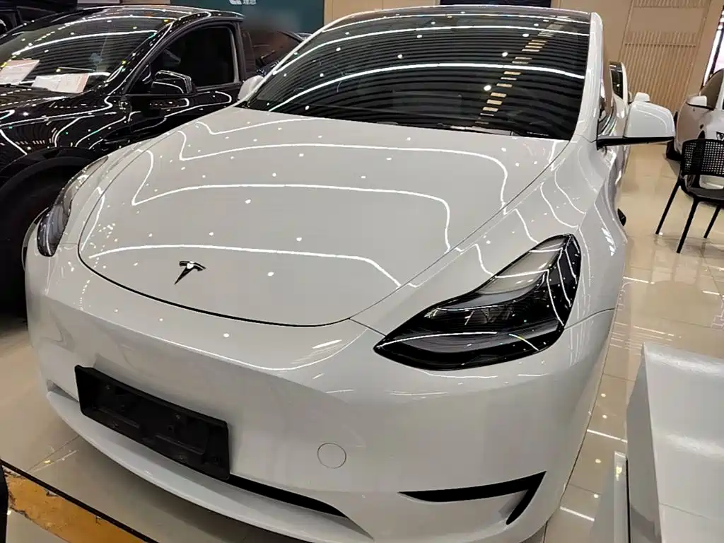 Tesla Model Y — фото 2