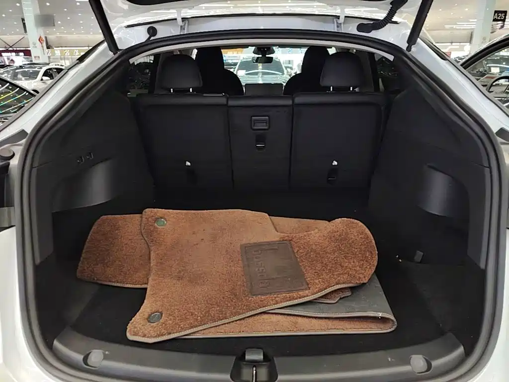 Tesla Model Y — фото 19