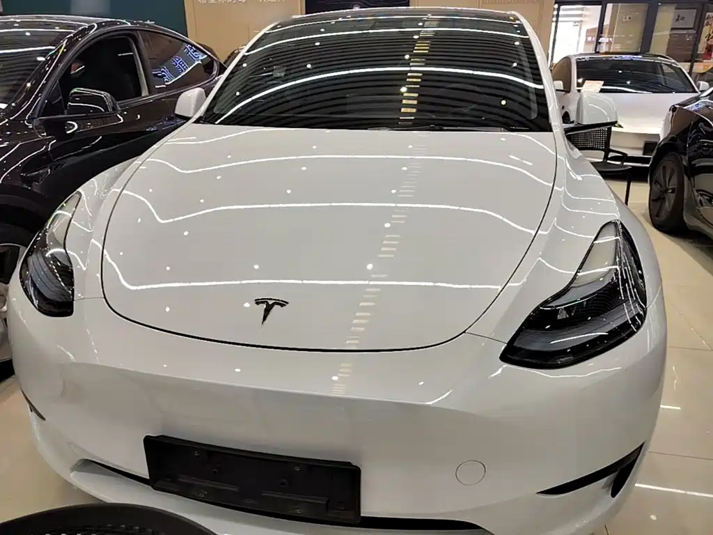 Tesla Model Y — фото 3