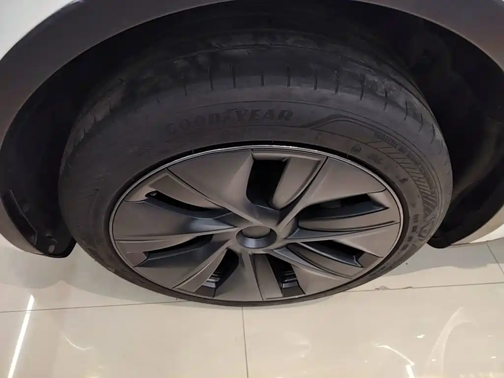 Tesla Model Y — фото 23