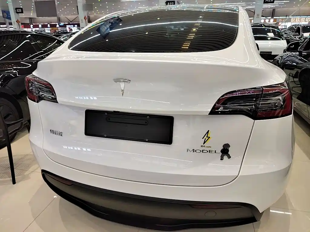 Tesla Model Y — фото 6