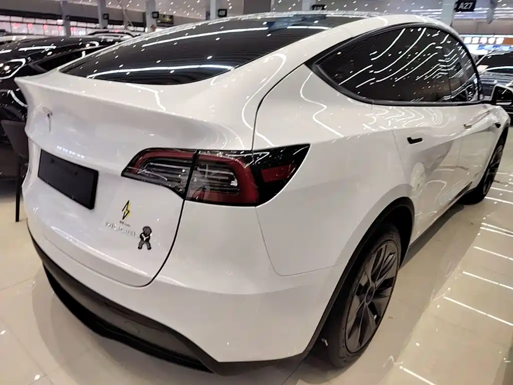 Tesla Model Y — фото 7