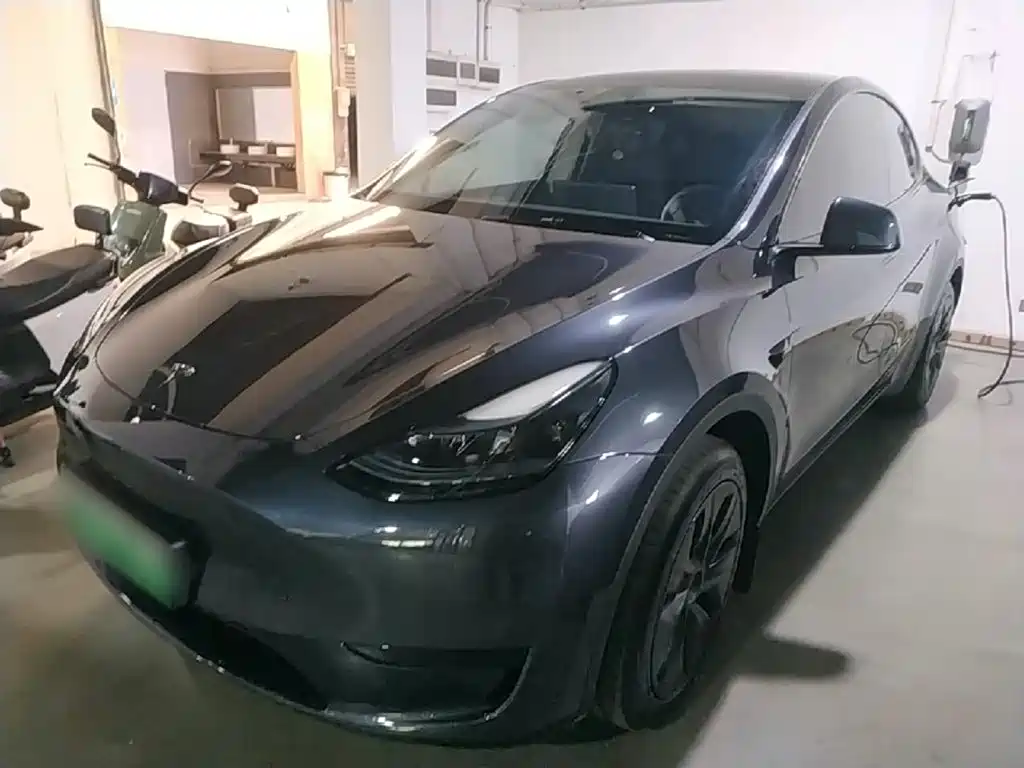 Tesla Model Y — фото 2