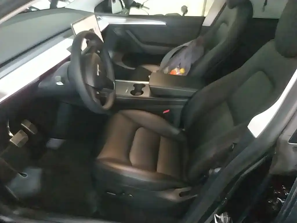 Tesla Model Y — фото 15
