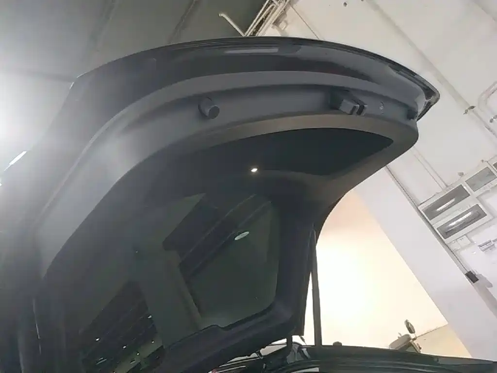 Tesla Model Y — фото 19