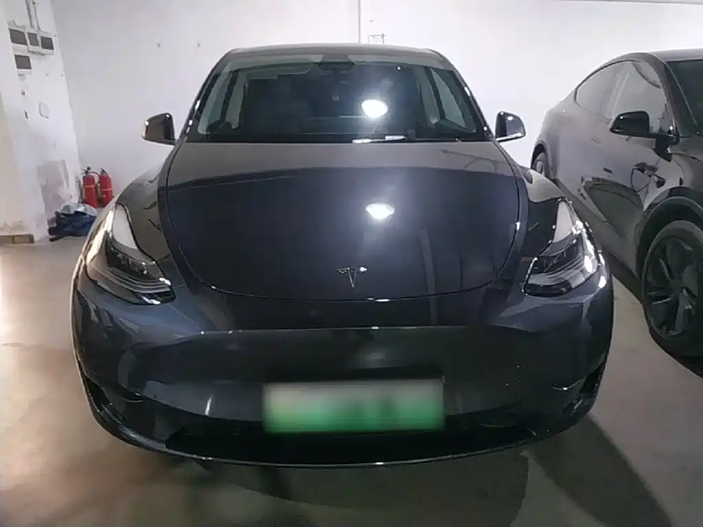 Tesla Model Y — фото 3