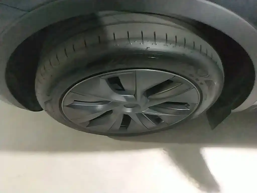 Tesla Model Y — фото 23
