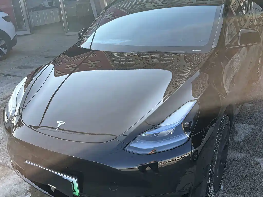 Tesla Model Y — фото 5