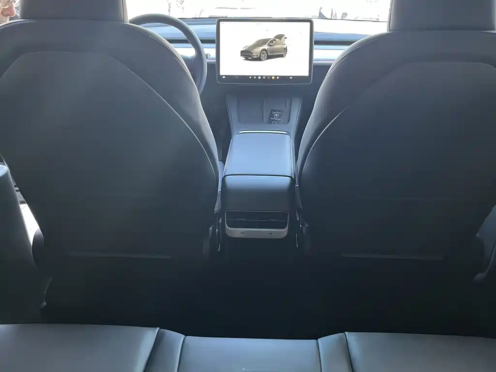 Tesla Model Y — фото 8