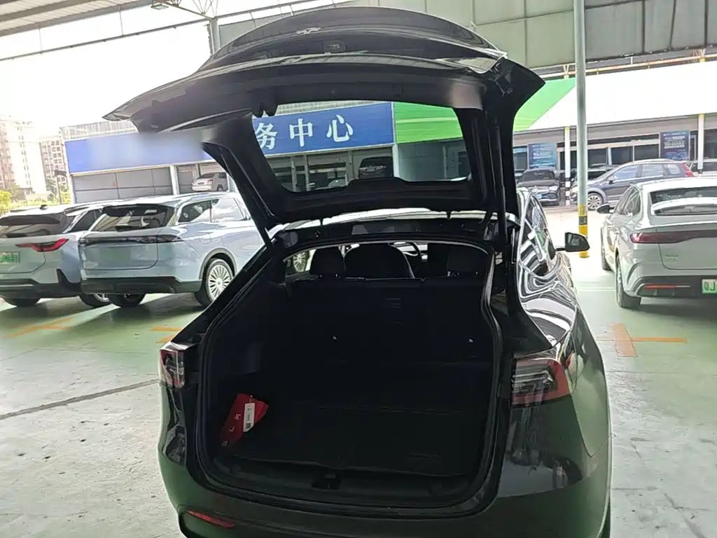 Tesla Model Y — фото 19