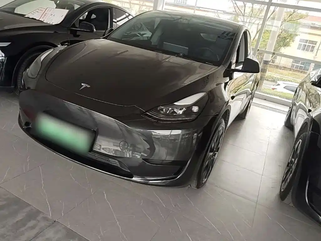 Tesla Model Y — фото 2