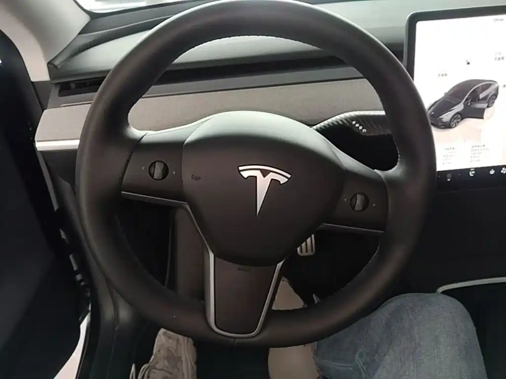 Tesla Model Y — фото 11