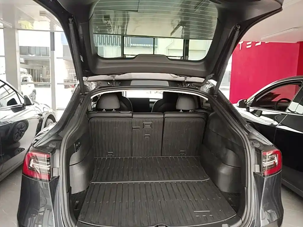 Tesla Model Y — фото 19