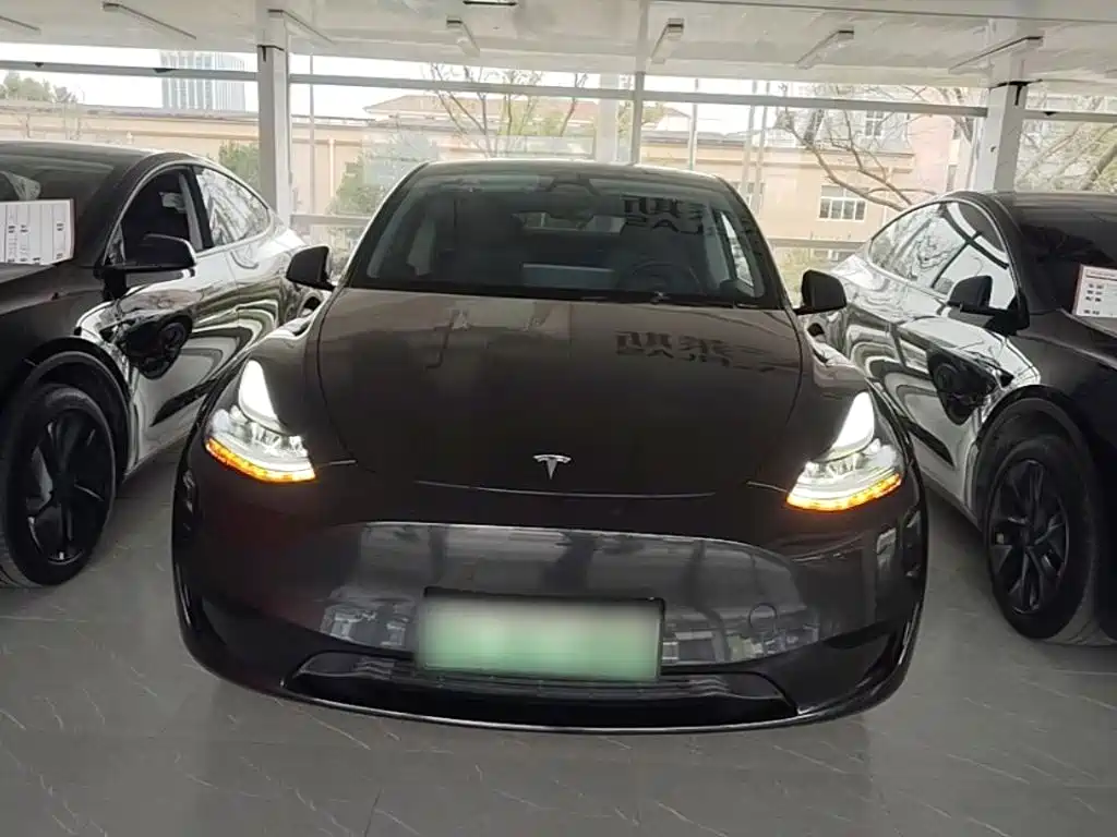 Tesla Model Y — фото 3