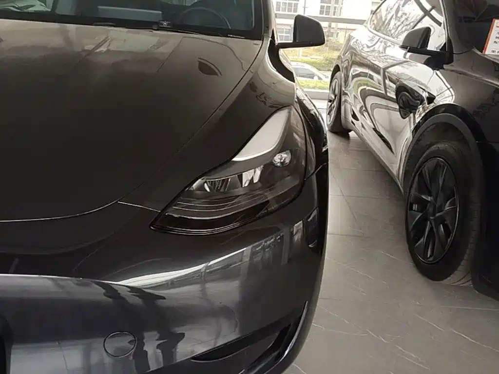 Tesla Model Y — фото 24